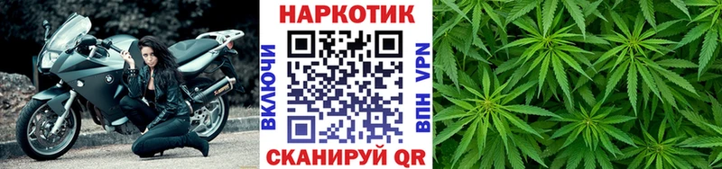 Виды наркотиков купить Заволжск Псилоцибиновые грибы  Кокаин  АМФЕТАМИН 