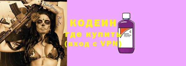 дурь Ельня