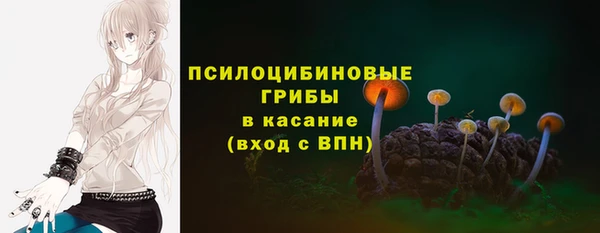дурь Ельня