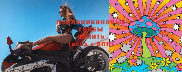 дурь Ельня
