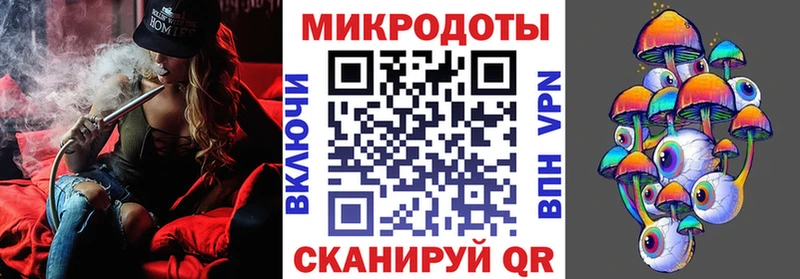 MEGA маркетплейс  Заволжск  Галлюциногенные грибы Psilocybine cubensis  где купить  